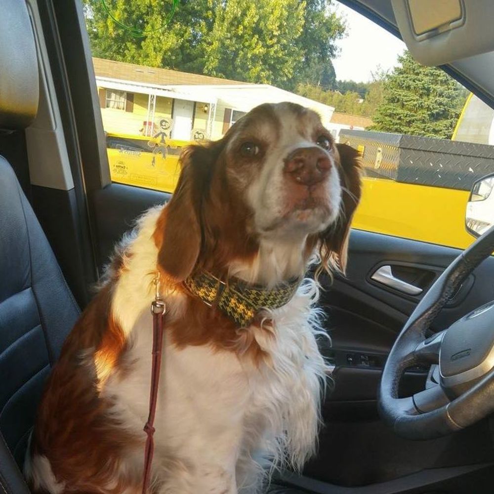 Meet your Posher, Georgette